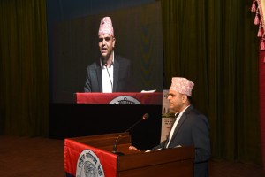 DSC_2560.JPG